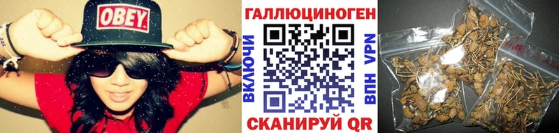 kraken зеркало  дарнет шоп  Безенчук  Псилоцибиновые грибы ЛСД 